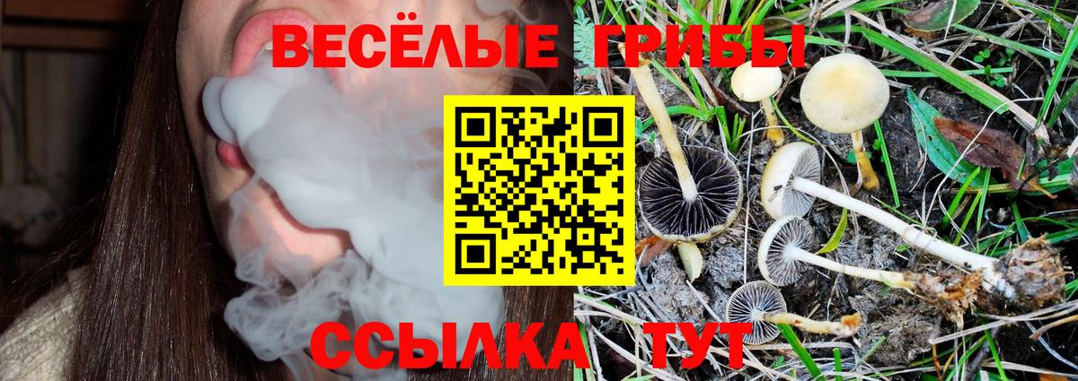 Галлюциногенные грибы MAGIC MUSHROOMS  Вход с VPN  Псилоцибиновые грибы прущие грибы  Арзамас 